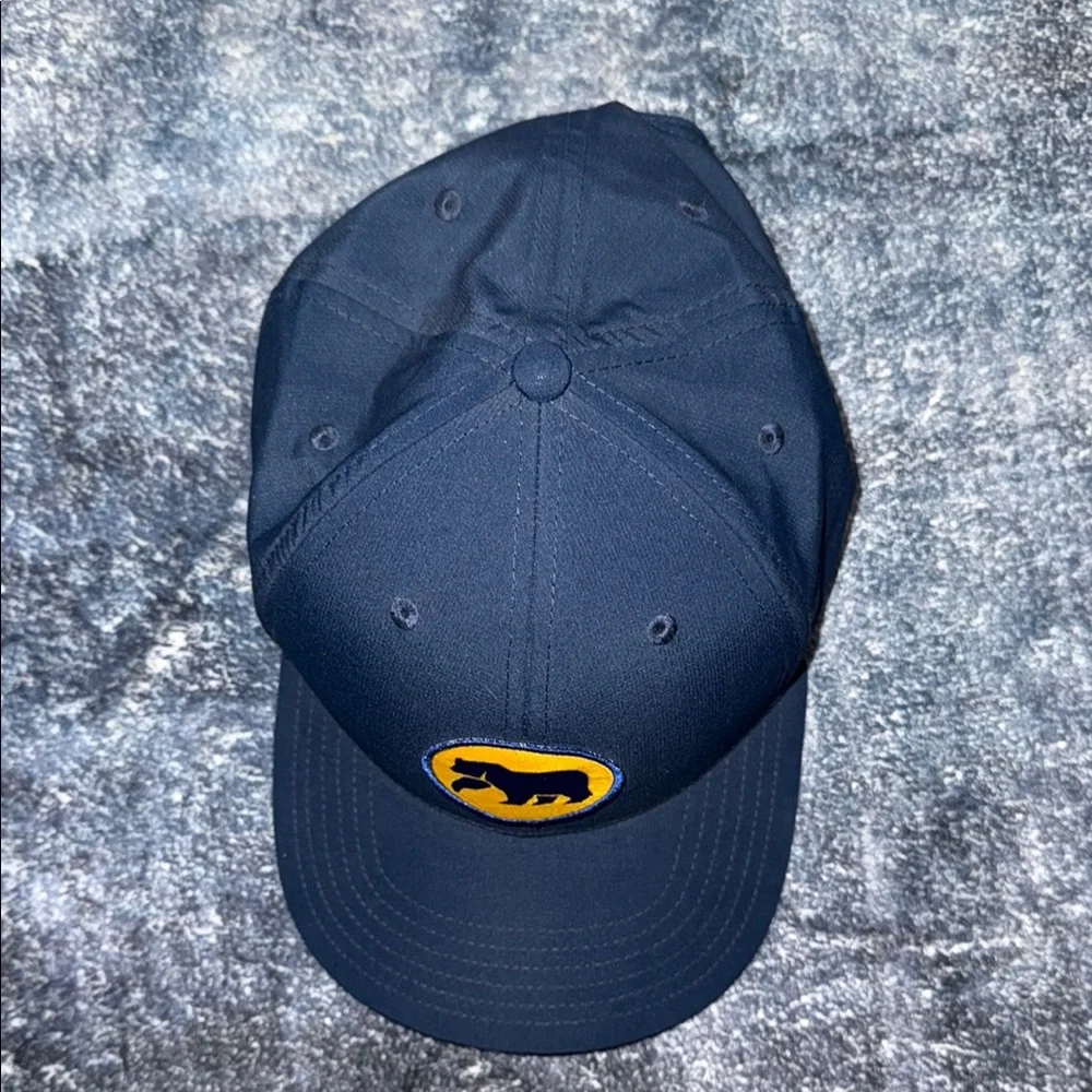 The Normal Brand Circle Patch Performance Cap in Navy 🧢 EUC - Picture 5 of 5